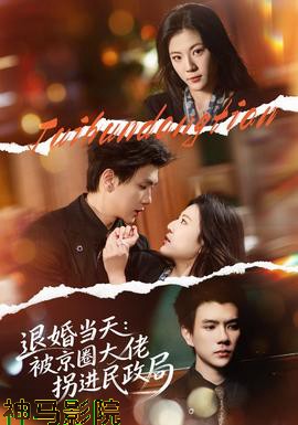 退婚当天：被京圈大佬拐进民政局