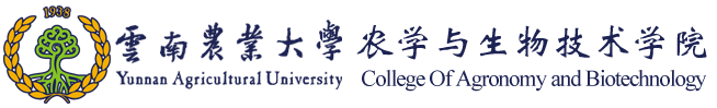 全讯白菜策略